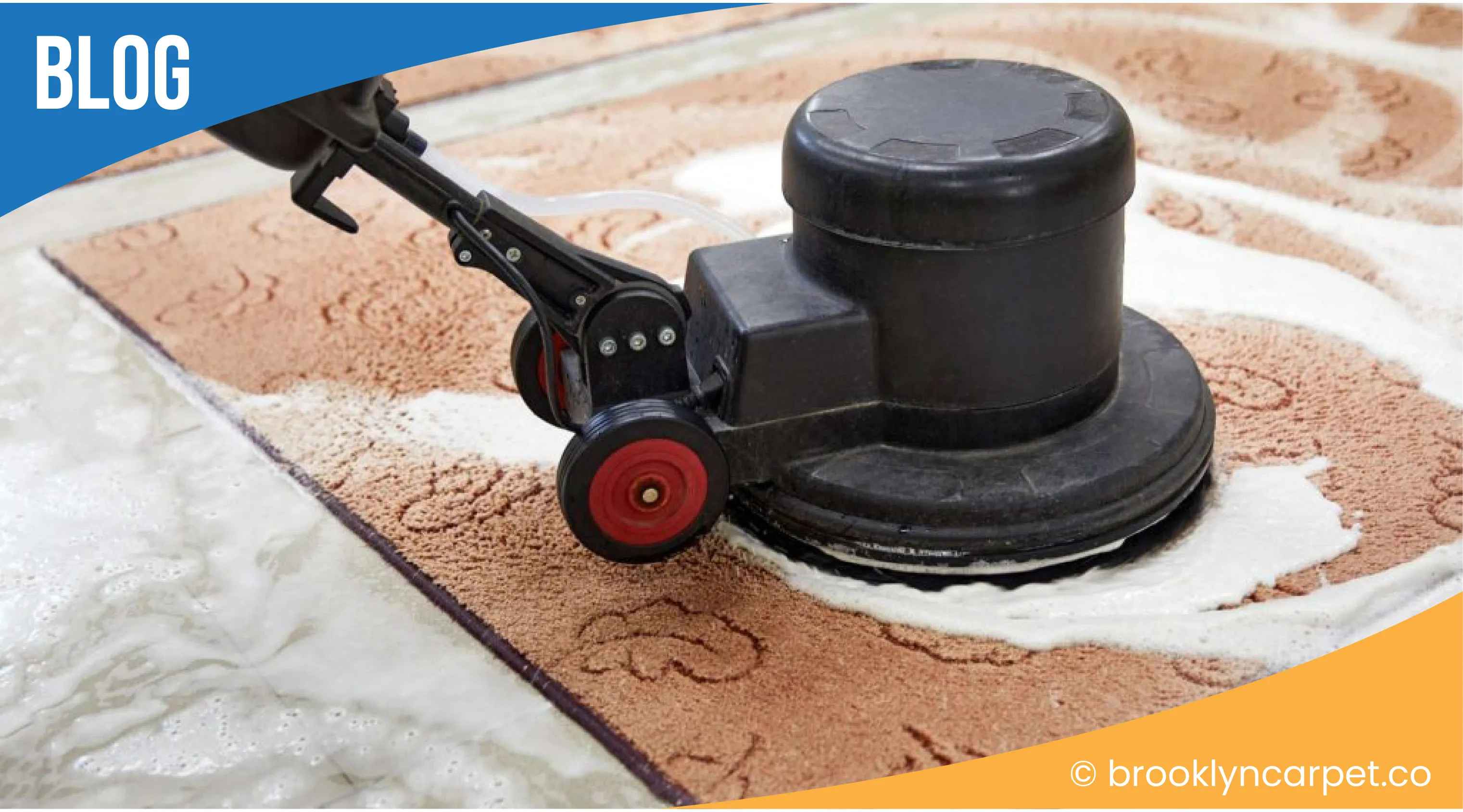 carpet cleaning in brooklyn, carpet cleaning in new york, carpet cleaning brooklyn, carpet cleaners in brooklyn, carpet cleaners in new york, commercial carpet cleaning, commercial carpet cleaning in brooklyn, brooklyn rug cleaners, rug cleaning services in brooklyn, same day carpet cleaning, same day rug cleaning