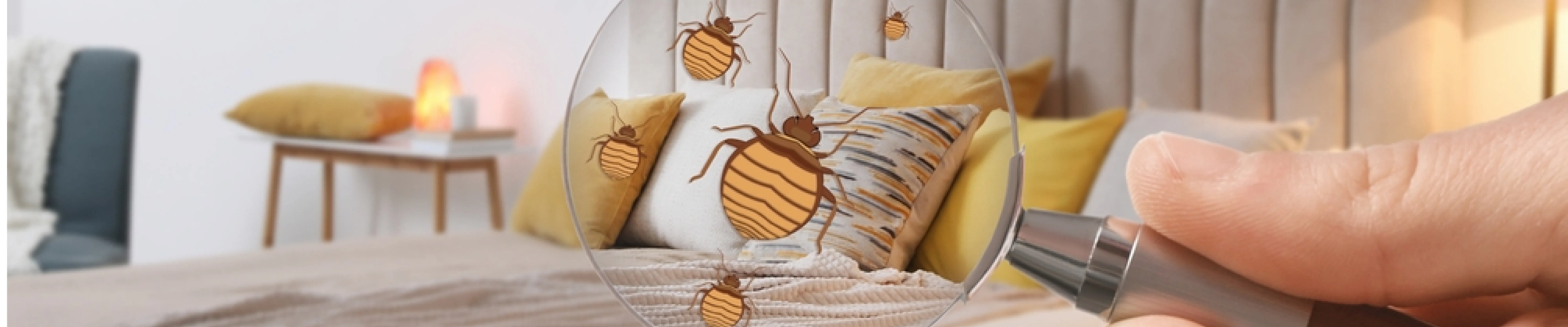 carpet cleaning in brooklyn, carpet cleaning in new york, carpet cleaning brooklyn, carpet cleaners in brooklyn, carpet cleaners in new york, commercial carpet cleaning, commercial carpet cleaning in brooklyn, brooklyn rug cleaners, rug cleaning services in brooklyn, same day carpet cleaning, same day rug cleaning