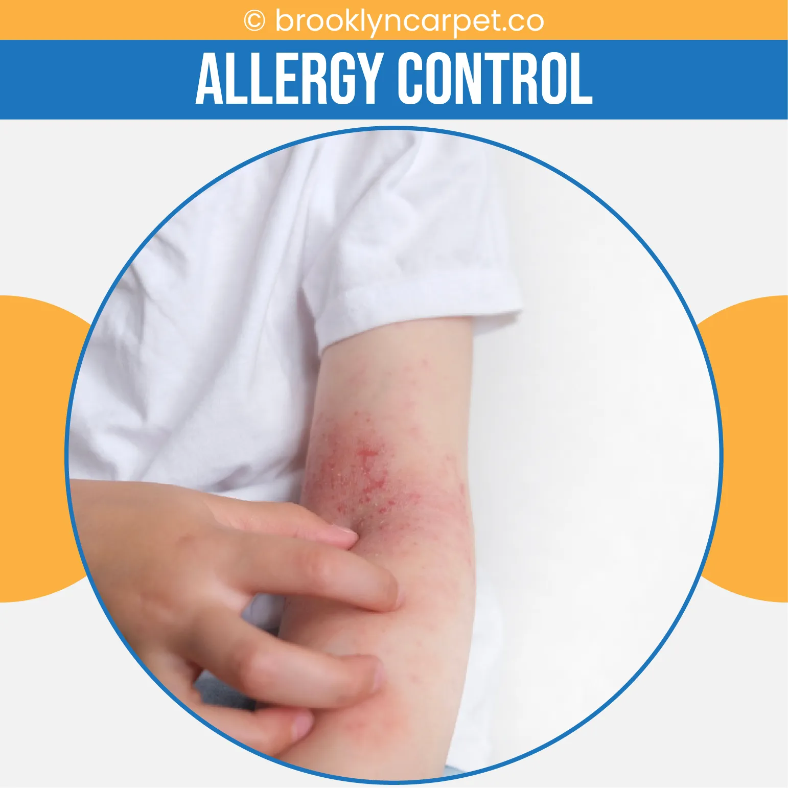 carpet cleaning in brooklyn, carpet cleaning in new york, carpet cleaning brooklyn, carpet cleaners in brooklyn, carpet cleaners in new york, commercial carpet cleaning, commercial carpet cleaning in brooklyn, brooklyn rug cleaners, rug cleaning services in brooklyn, same day carpet cleaning, same day rug cleaning