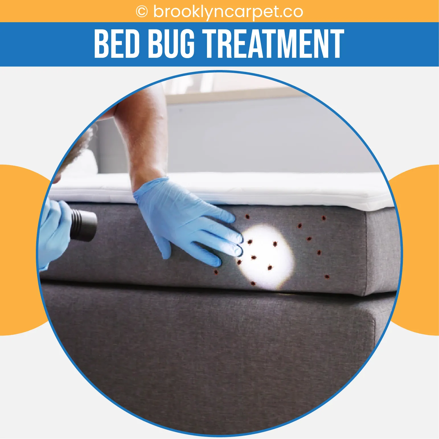 carpet cleaning in brooklyn, carpet cleaning in new york, carpet cleaning brooklyn, carpet cleaners in brooklyn, carpet cleaners in new york, commercial carpet cleaning, commercial carpet cleaning in brooklyn, brooklyn rug cleaners, rug cleaning services in brooklyn, same day carpet cleaning, same day rug cleaning